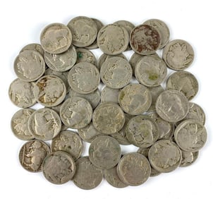 Group of 48 Buffalo Nickels