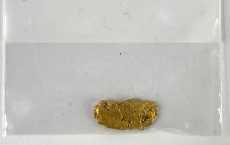 Gold Nugget 1.5 Grams