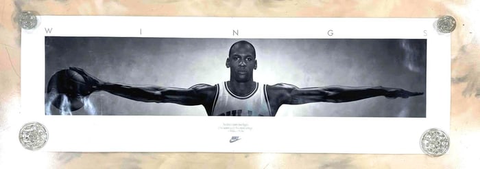 Michael Jordan Wing Span Poster