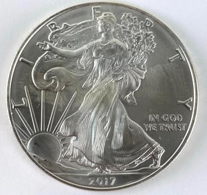 2017 US Mint American Silver Eagle 1 oz .999 Fine Silver Coin