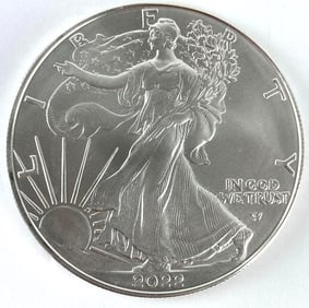 2022 US Mint American Silver Eagle 1 oz .999 Fine Silver Coin