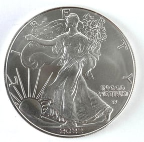 2022 US Mint American Silver Eagle 1 oz .999 Fine Silver Coin