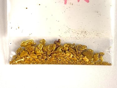 5.9 Grams of Gold Nuggets