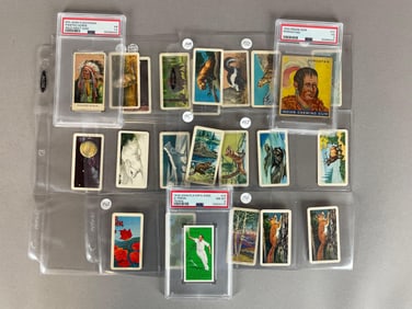 3 - 1910 - 36 PSA Graded Cards + 21 Brooke Bond Tea Animal Cards