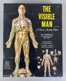Renwal The Visible Man Science Assembly Project