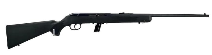Savage Model 62 .22 Cal LR Semi Auto Rifle