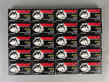Group of 20 20 Round boxes of new Wolf .223 caliber FMJ ammo
