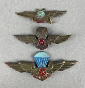Group of 3 North Vietnamese Air Force Wings