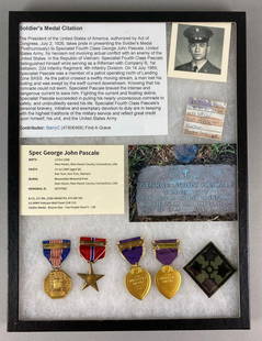 Vietnam Soldier Awards and More: Features Soldier George John Pascale. Includes photos, Purple Heart, Soldier medal and More. Case measures 16 1/4 x 12 1/4 x 1 inches.