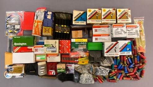 Large Group of Assorted Ammuniton