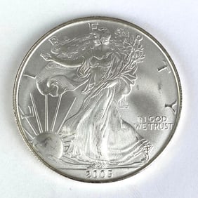 2005 1 Oz .999 Fine Silver Eagle $1 Coin
