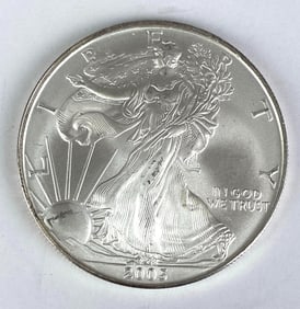 2005 1 Oz .999 Fine Silver Eagle $1 Coin