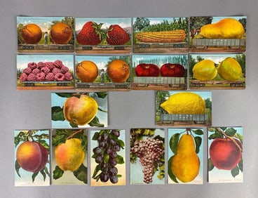 Postcards - 16 Exaggerations of Fruits and Vegetables
