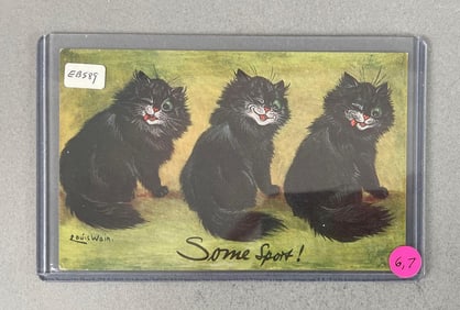 Tuck Louis Wain Signed Some Sport Postcard