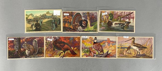 Postcards - 7 DuPont Powders Advertising