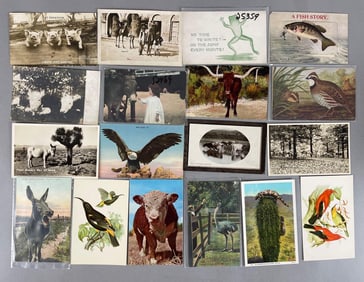 Postcards - 270+ Animals