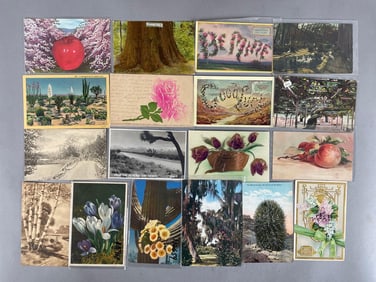 Postcards - 700+ Flowers