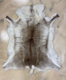 Reindeer Hide Rug