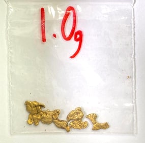 1 Gram Gold Nuggets