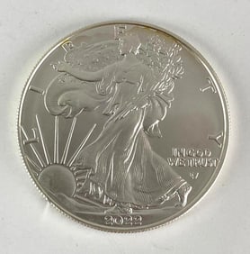 2022 US Mint American Silver Eagle 1 oz .999 Fine Silver