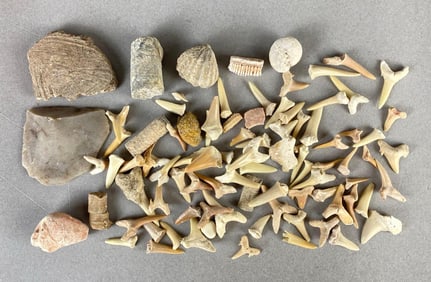 Group of Native American Artifacts and More