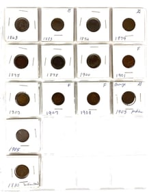 Group of 14 Indian Head Cents