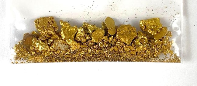 7.2 Grams of Gold Nuggets