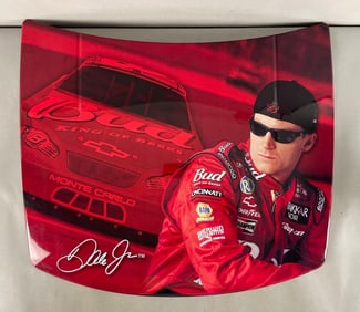 HiRev Tribute Series Dale Earnhardt Jr. NASCAR Advertising Hood