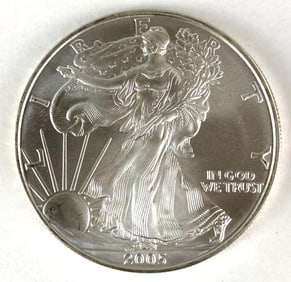 2005 US Mint American Silver Eagle 1 oz .999 Fine Silver