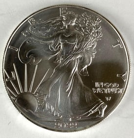 2022 US Mint American Silver Eagle 1 oz .999 Fine Silver