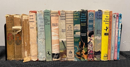 Group of Vintage Black Stallion Hardcover Books and More