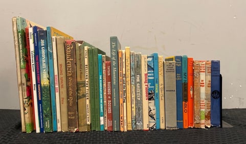 Group of Vintage Childrens Hardcover Books