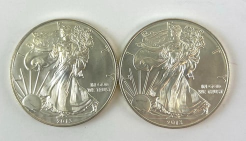 Group of 2 2013 Silver American Eagles