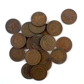 Group of 20 Indian Head Pennies