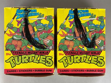 2 - 1990 Topps Teenage Mutant Ninja Turtles TMNT Unopened Boxes