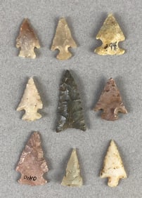 Group of 9 Bird Points from Heike Collection