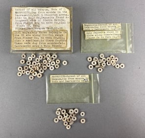 Group of Wampum Beads Sierra, Nevada Heike Collection