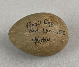 Fossil Egg Bad Lands, South Dakota Heike Collection