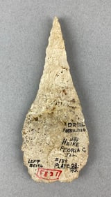 Drilled Fossilized Peoria County, Illinois Heike Collection