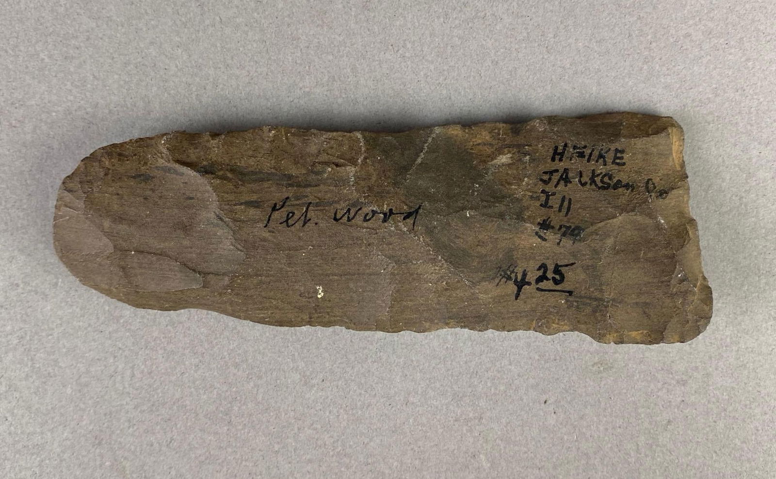 5 Inch Petrified Wood Blade Jackson Co. IL Heike Collection (1 of 4)