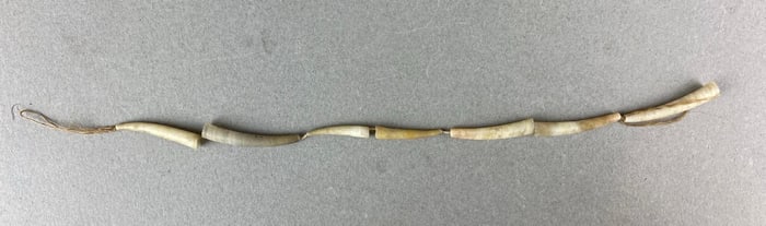 Tubular shell bead strand, Southern California