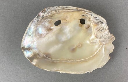 Polished shell gorget
