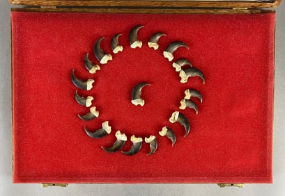 Frame of Bear Claws