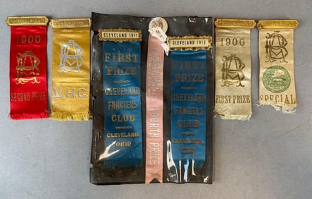 Group of 1900s First Prize Ribbons and More
