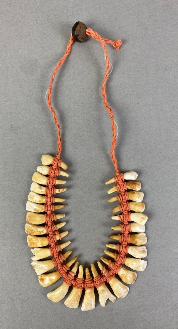 Herbivore Teeth Necklace: Measures 13 inches in length