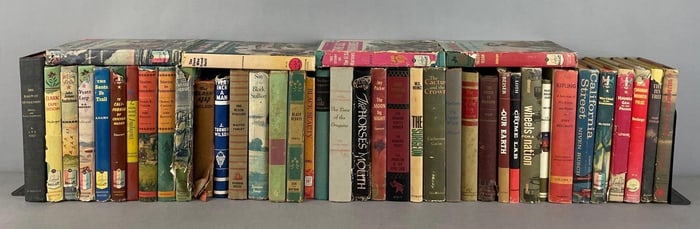 Group of Young Adult Books and More
