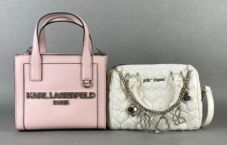 Group of 2 Luxury Brand Purses