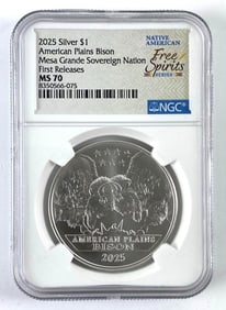 NGC Graded 2025 US $1 1 oz .999 Silver American Plains Bison Coin MS 70