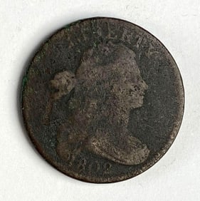1802 US Draped Bust Large Cent