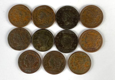 Group of 11 US Braided Hair Large Cents